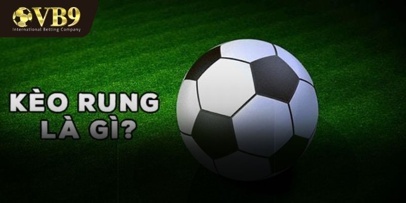 Giới thiệu về kinh nghiệm đánh kèo rung